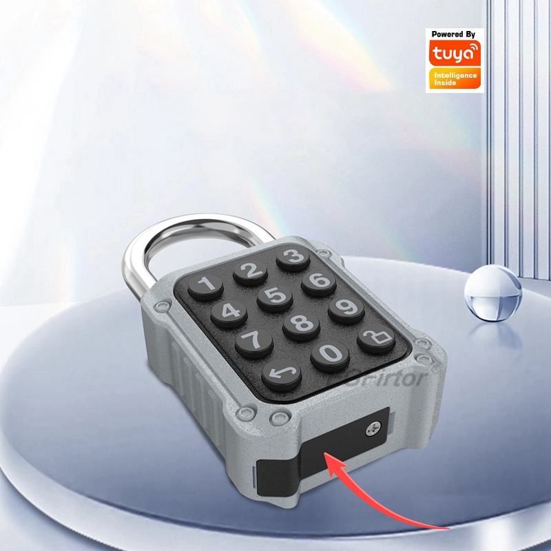 EGFirtor Tuya APP Electronic S - огляд і ціна Lockbox Key Secure